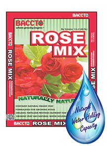 Rose Mix
